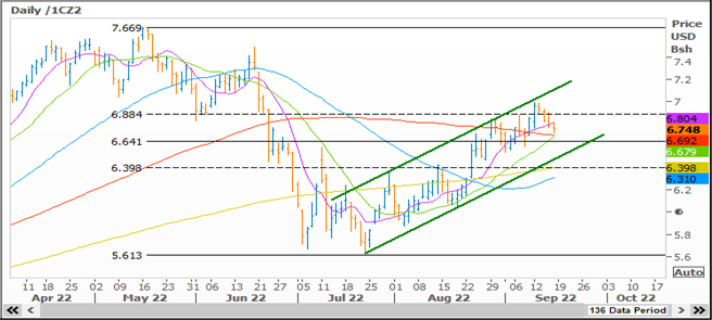 A Quiet Overnight Session In Ags And Macros US Wheats Not Rebounding